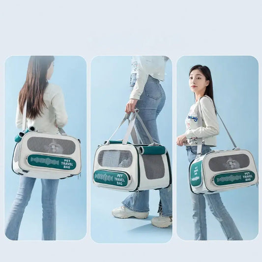 Cat portable shoulder bag