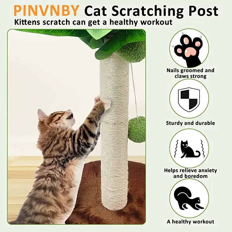 Cat Scratching Post