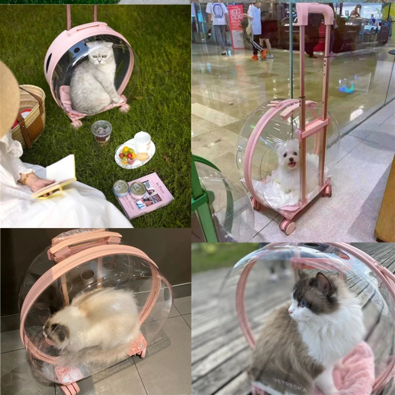 Cat Trolley Stroller