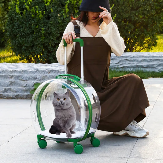 Cat Trolley Stroller